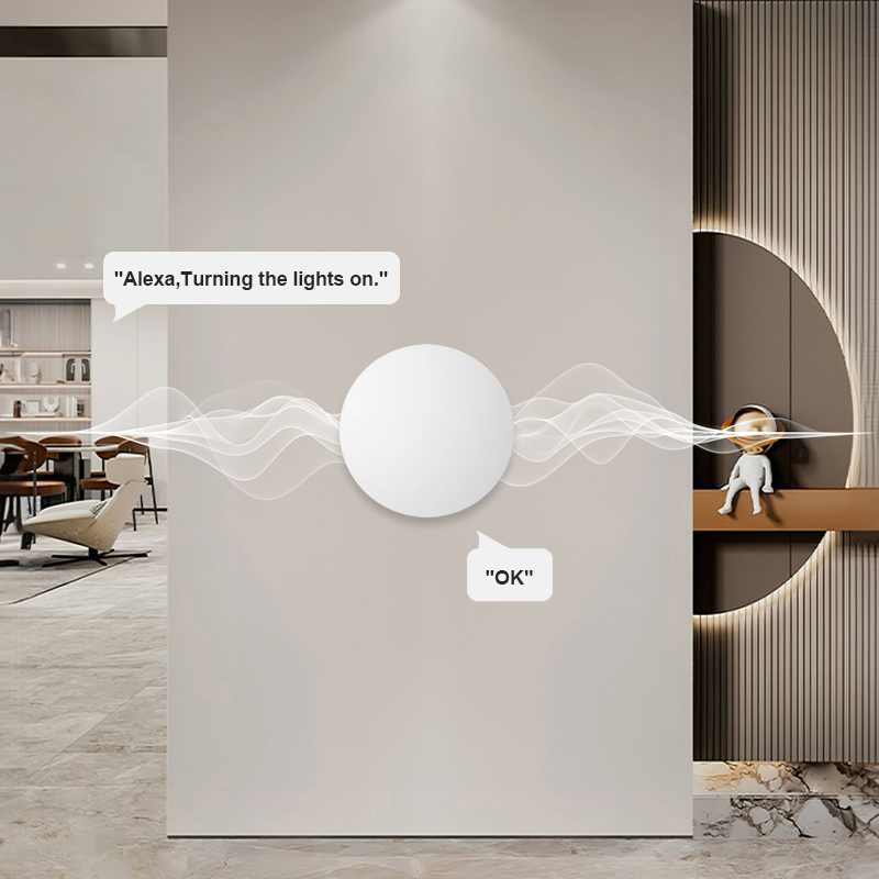 Tuya Smart Life용 ZigBee 스마트 무선 - Diy Electronics Button 리뷰 및 가격